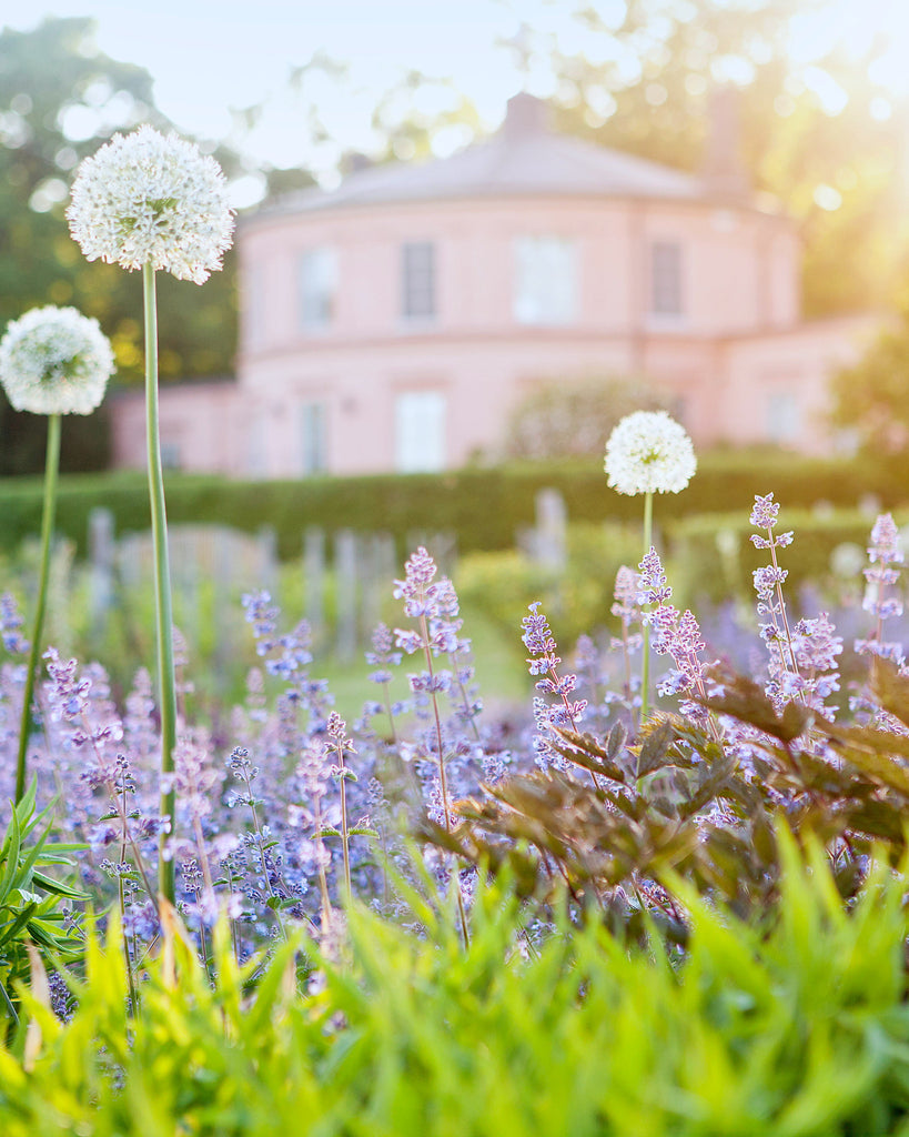 Un petit coin de paradis à Stockholm