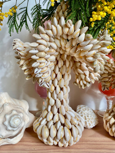 Vase bougeoir cauri