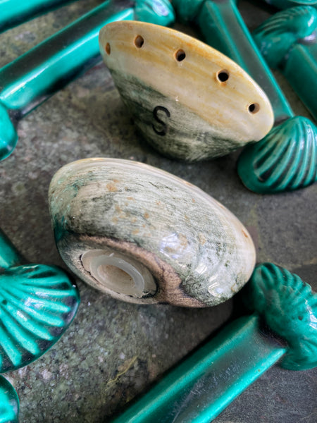 Saliere poivrière coquillages
