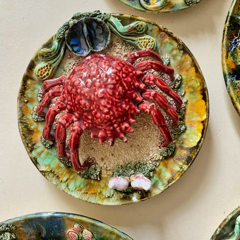 Assiette araignée de mer