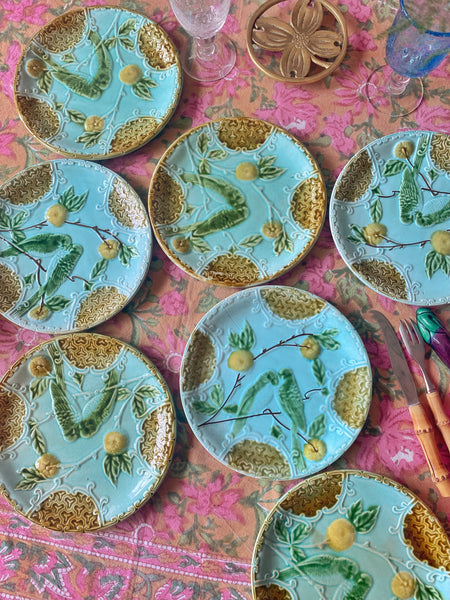 7 assiettes barbotine perruche