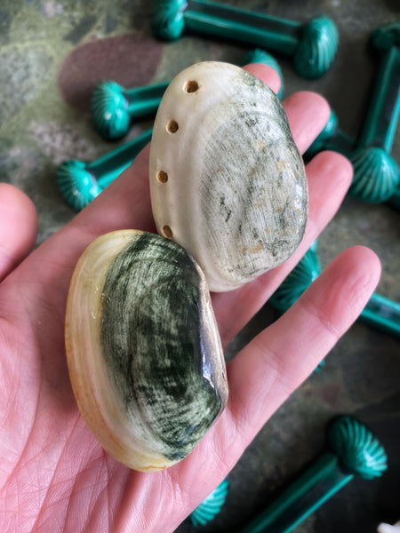 Saliere poivrière coquillages
