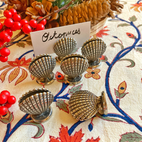 6 porte noms anciens coquillages