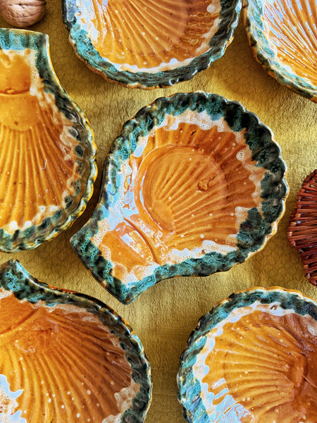 6 coupelles coquillages