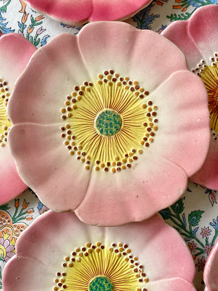 6 assiettes églantine XIXeme