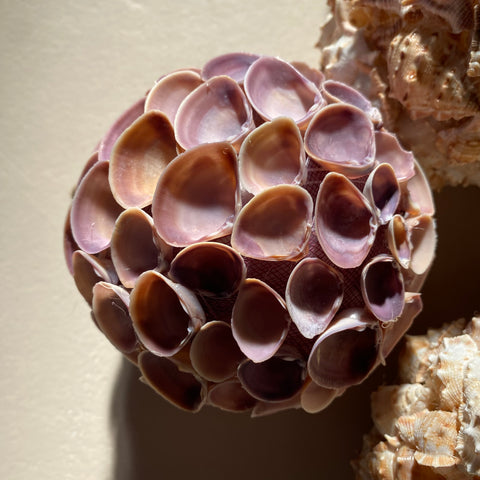 Boule coquillage