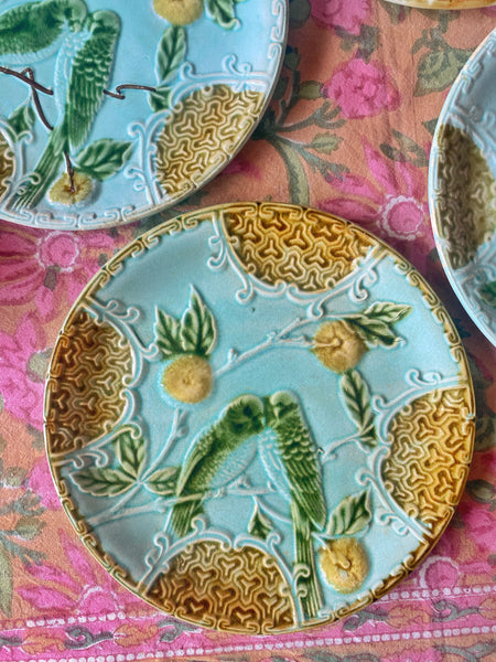 7 assiettes barbotine perruche