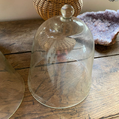 Cloche à murir ancienne ( cloche à melon)