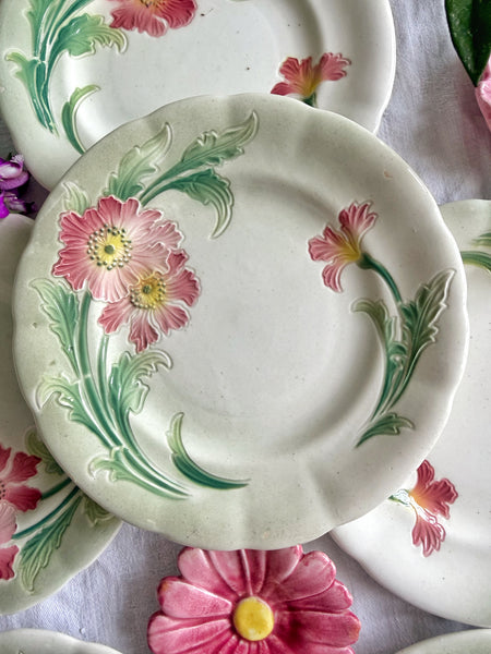 6 assiettes anciennes pavot