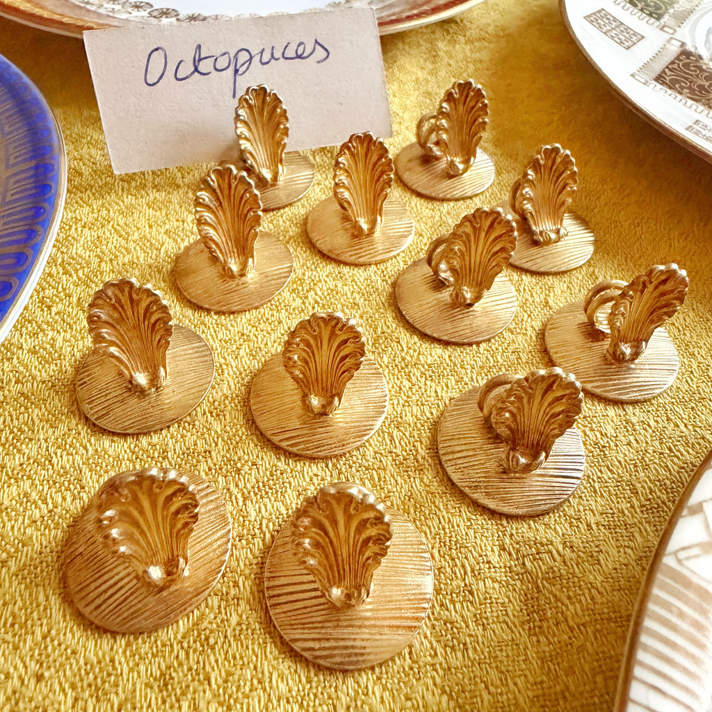 12 porte noms coquilles