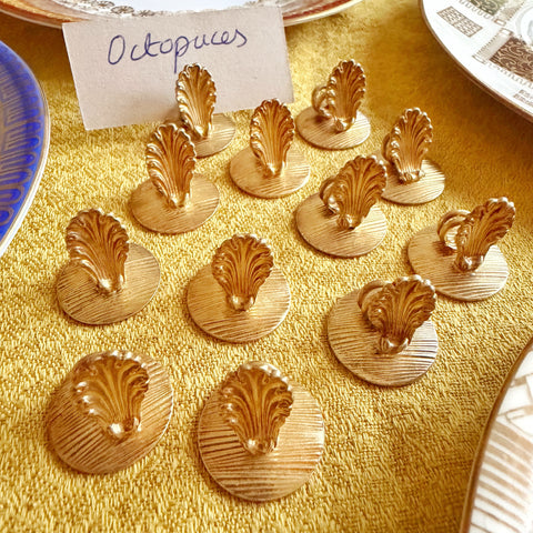 12 porte noms coquilles