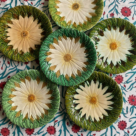 6 assiettes barbotine XIXeme