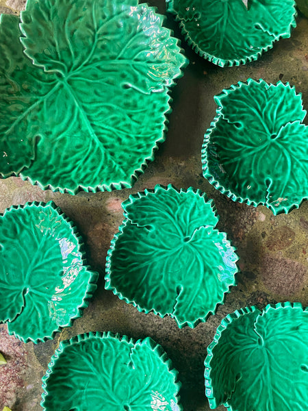 Ensemble feuilles Cerennes