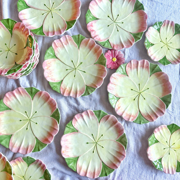 6 grandes assiettes fleurs