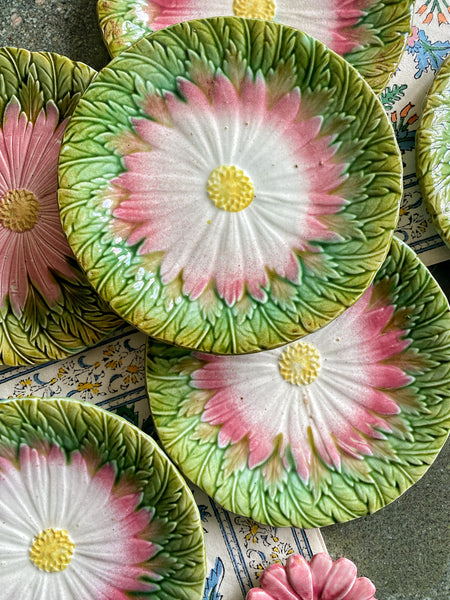 6 assiettes barbotine XIXeme