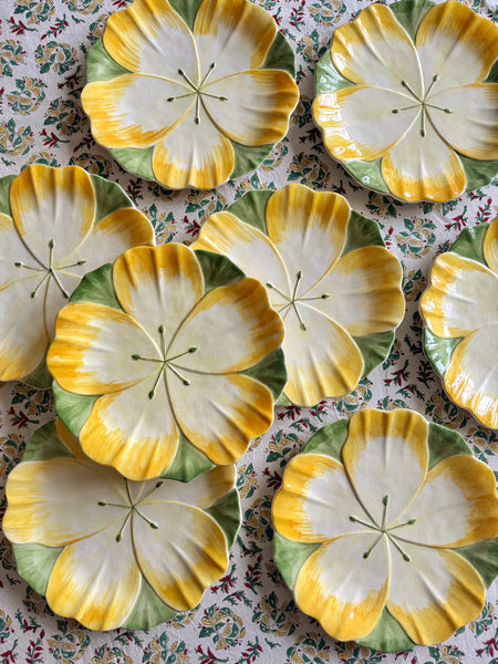 8 grandes assiettes fleurs faïence