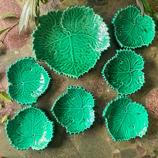 Ensemble feuilles Cerennes