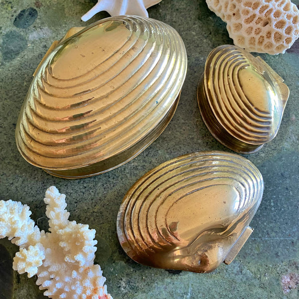 Boîtes gigognes coquillages