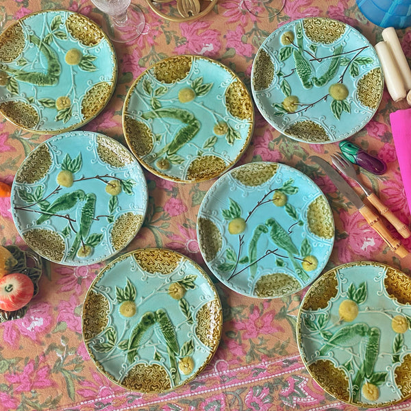 7 assiettes barbotine perruche