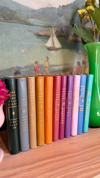 Ensemble 11 livres reliés