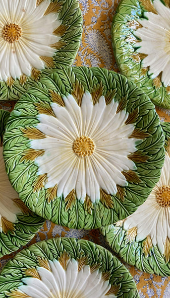 6 assiettes barbotine XIXeme
