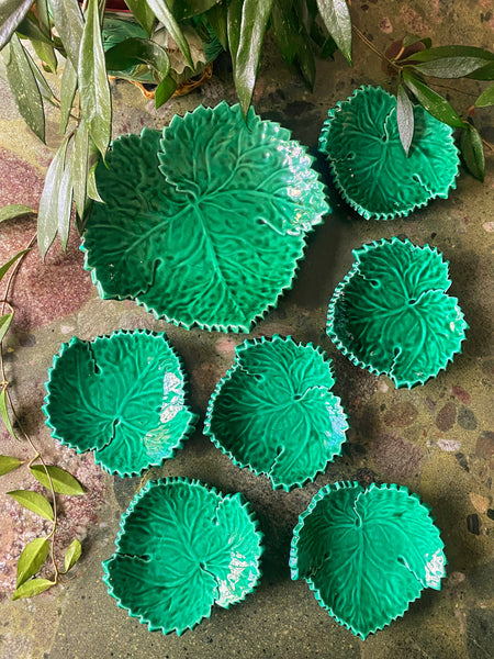 Ensemble feuilles Cerennes