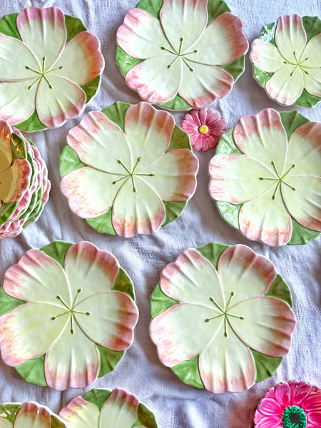 6 grandes assiettes fleurs