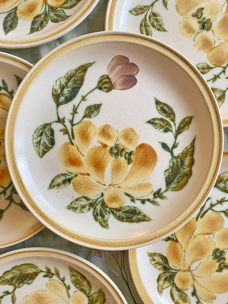6 grandes assiettes Gien