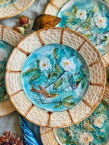 11 assiettes barbotine