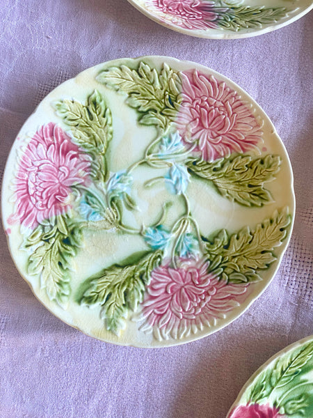 12 assiettes barbotine XIXeme