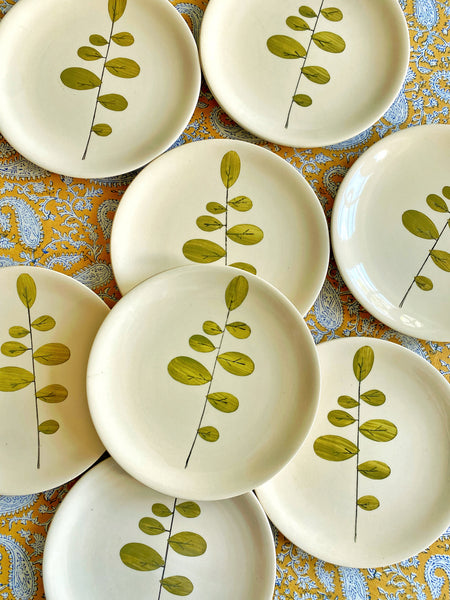 8 assiettes Niderviller modèle Acacia