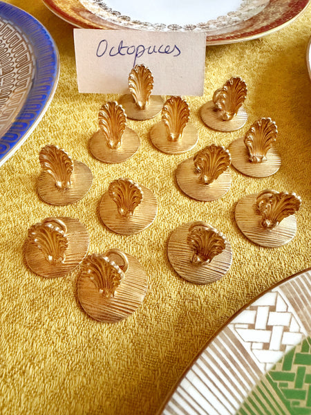 12 porte noms coquilles