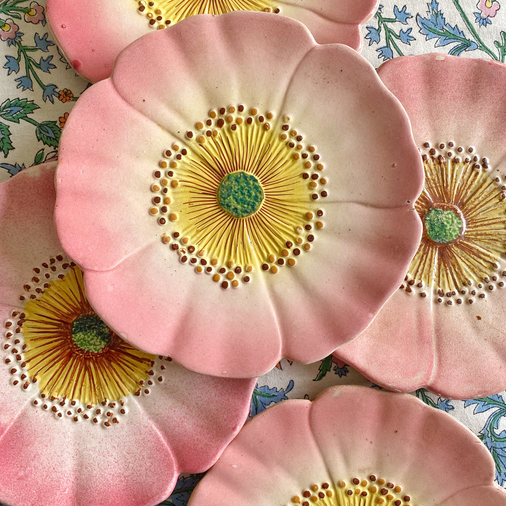 6 assiettes églantine XIXeme