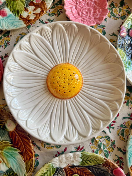 Marguerite pique fleur /aperitif
