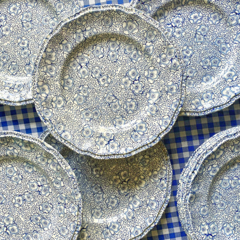 11 assiettes faïence anglaise