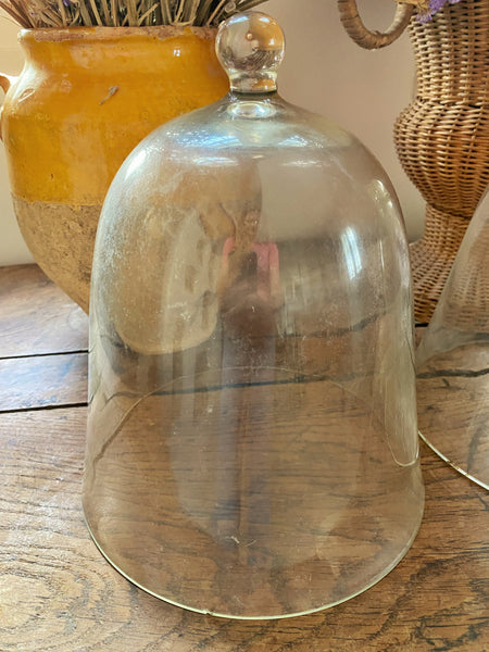 Cloche à murir ancienne ( cloche à melon)