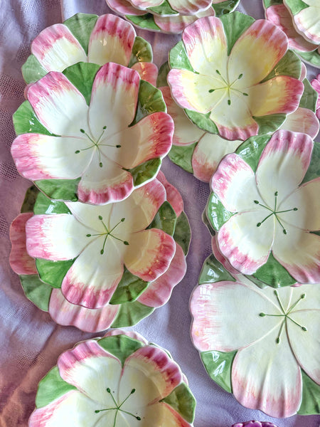 6 assiettes creuses fleurs