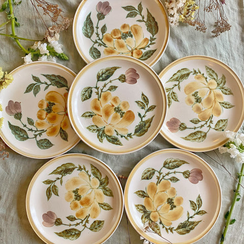 6 grandes assiettes Gien