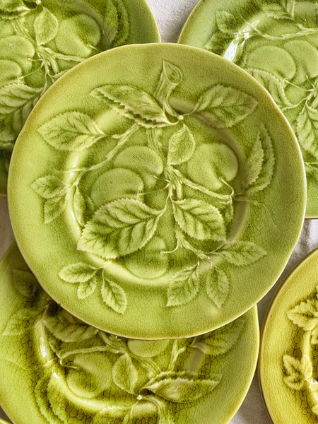 7 assiettes barbotine