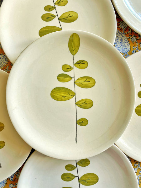 8 assiettes Niderviller modèle Acacia
