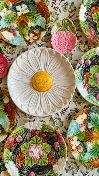 Marguerite pique fleur /aperitif