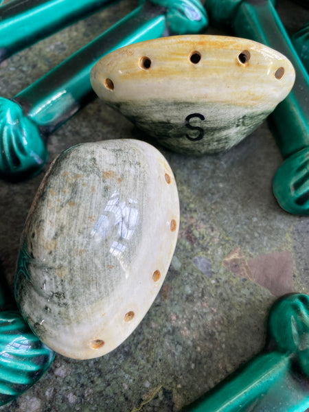 Saliere poivrière coquillages