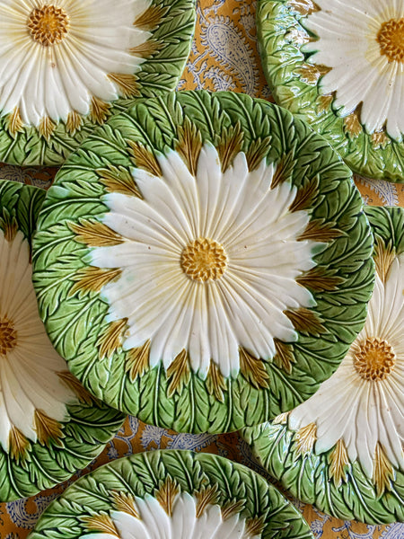 6 assiettes barbotine XIXeme