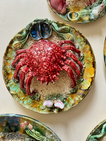 Assiette araignée de mer