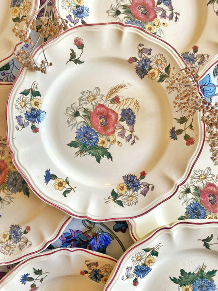 11 assiettes Sarreguemines