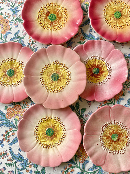 6 assiettes églantine XIXeme