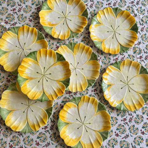 8 grandes assiettes fleurs faïence