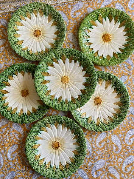6 assiettes barbotine XIXeme