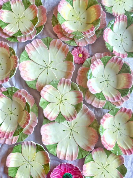 6 assiettes à dessert fleurs