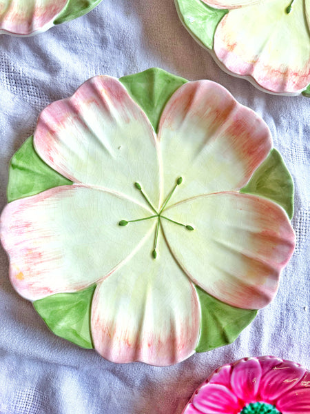 6 grandes assiettes fleurs